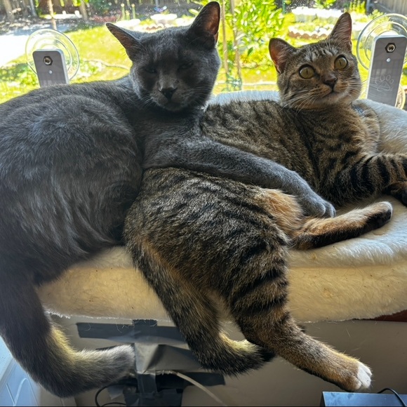 Ash 🩶 - Picture 3 of 7